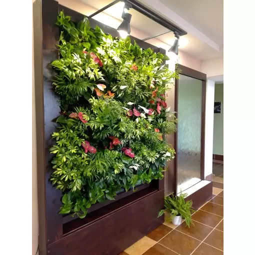 Фитостенка (под заказ)